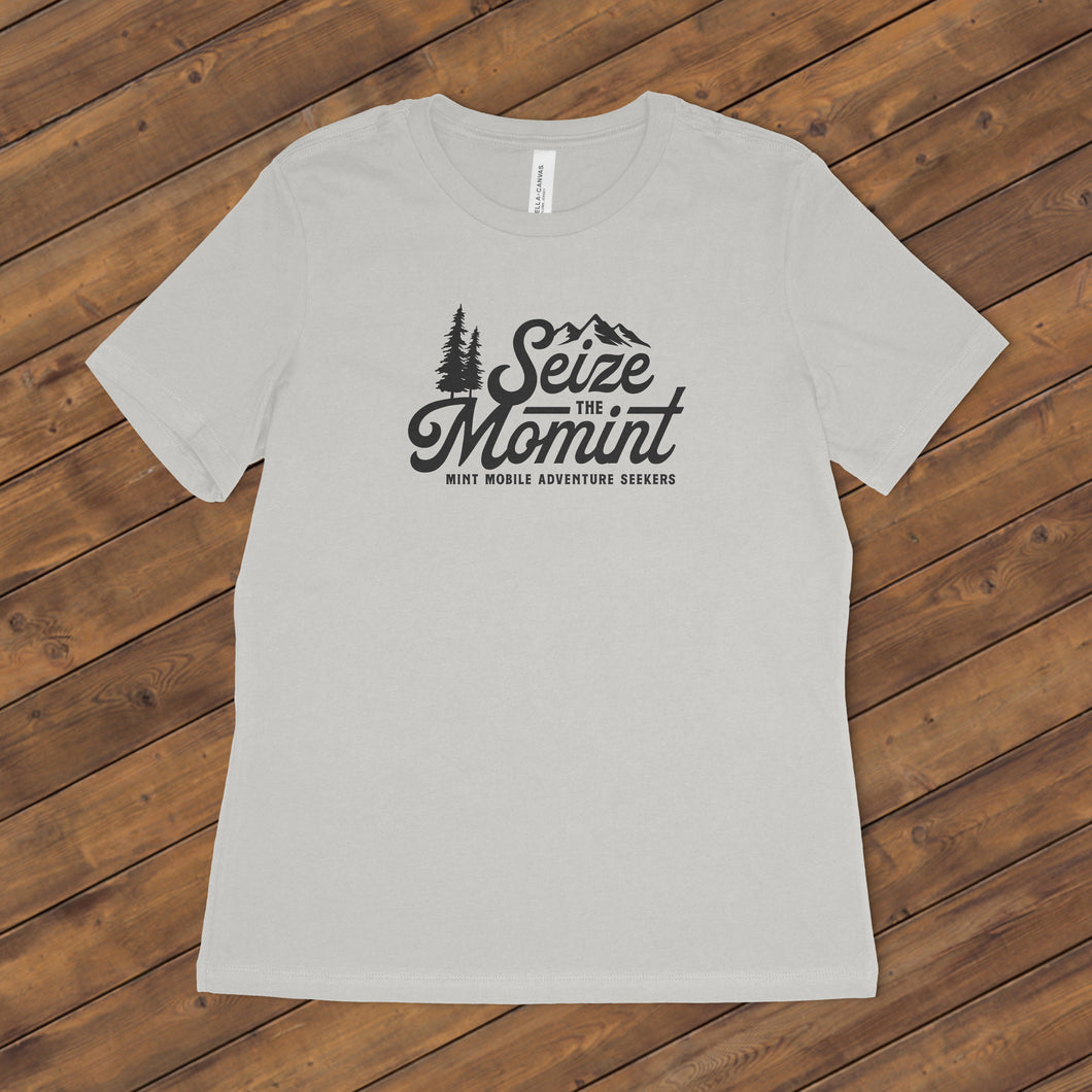 Seize the Momint Unisex T-Shirt in Gray (Limited quantities available)